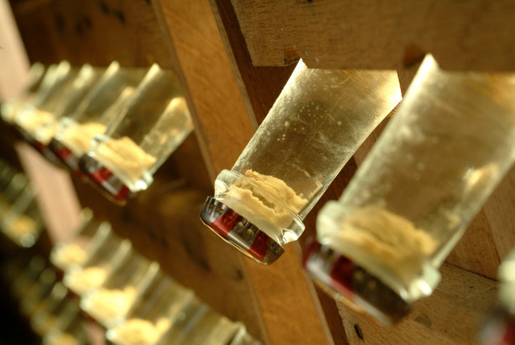 Yeasts, Malolactic Cultures, and Nutrients