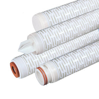 Graver Watertec PES membrane 0.45µ SOE M3 10-20-30 inch