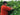 2025 Winemaker's Harvest Report
