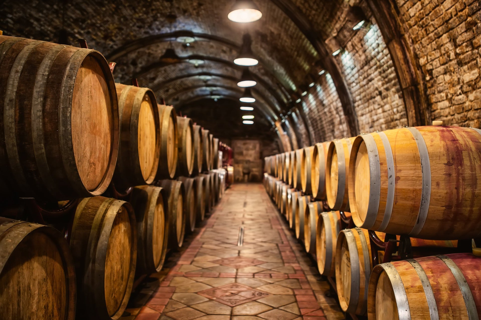 The History of Wine