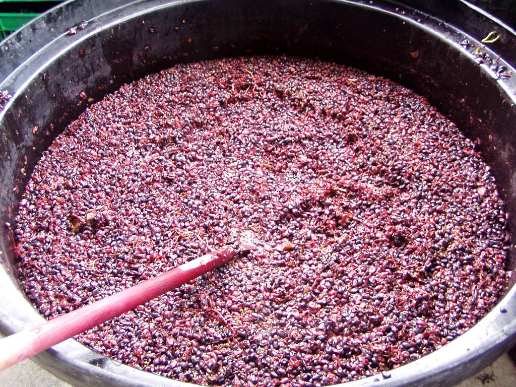 Young Wine
