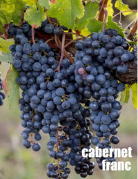 Local Cabernet Franc Young Wine sold per gallon (PICK UP ONLY)