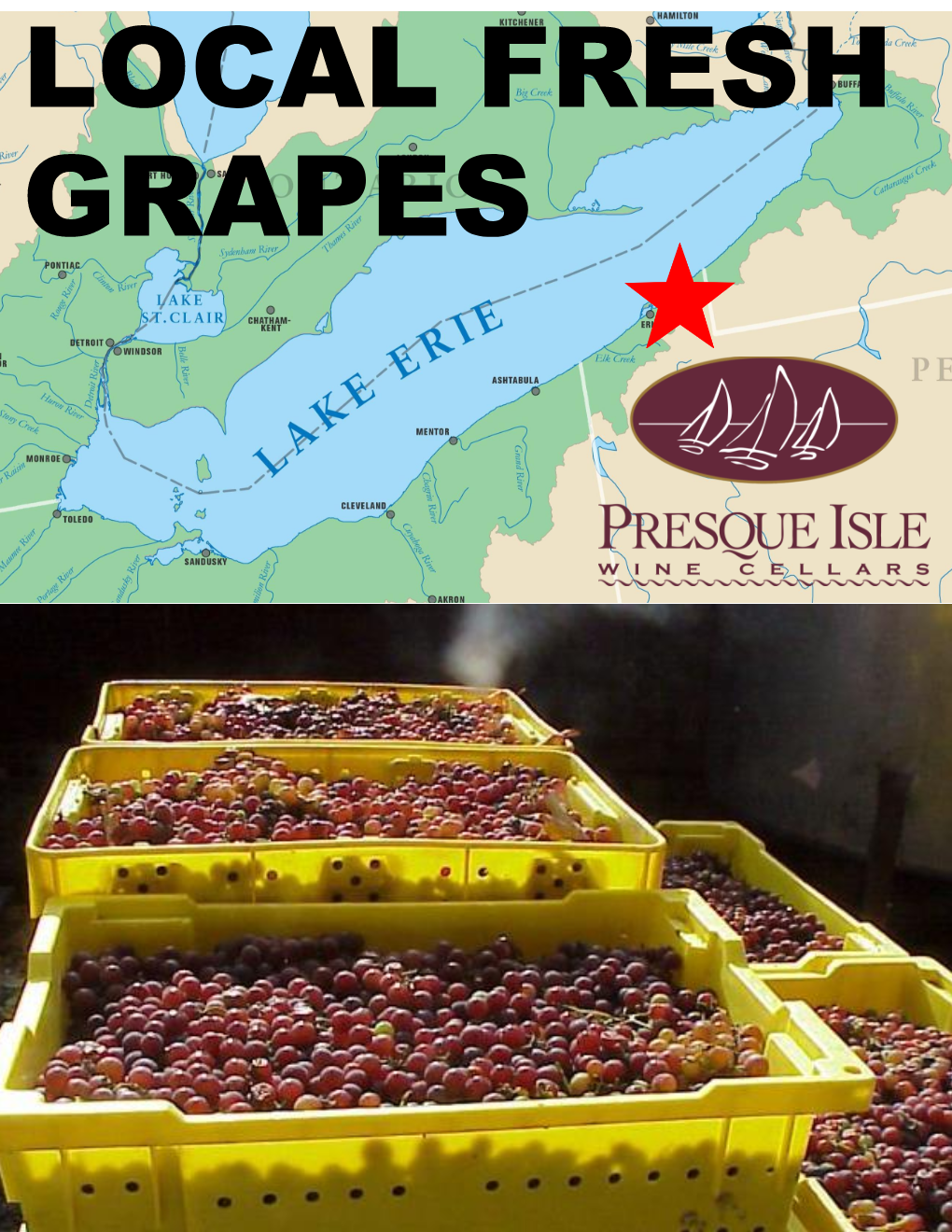 Presque Isle Wine Cellars local Lake Erie Grapes; Map of Lake Erie with a star indicating Presque Isle and crates of grapes with Presque Isle Wine Cellars logo.