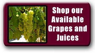 Grapes and Juices for Commercial Wine Making